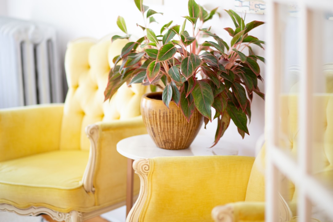 Piso Obra Nueva En Barcelona: Estrena Tu Vivienda Ideal En 2026