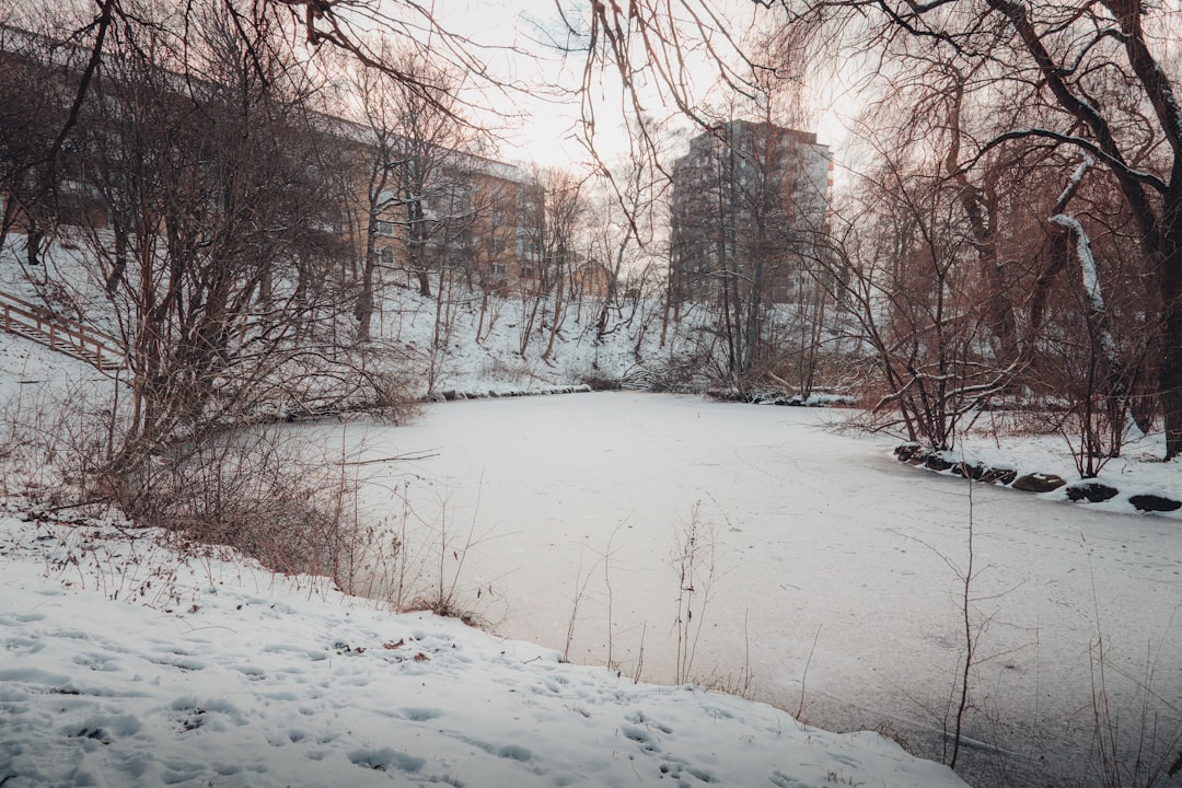 Alquiler Piso Con Piscina Barcelona: Confort Y Ocio En Tu Hogar
