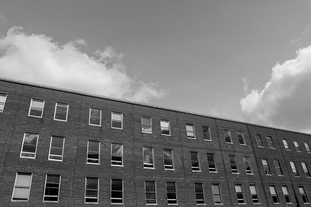 Pisos En Alquiler Born: Vive En El Corazón De Barcelona Con Manavi Inmobiliaria