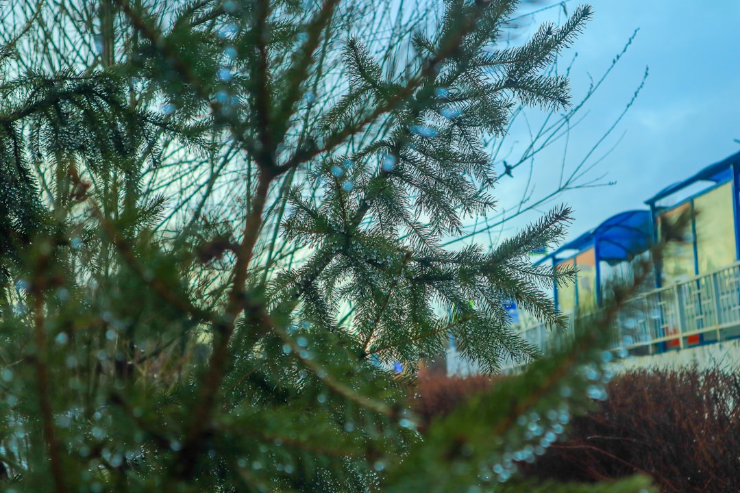 Inmobiliaria Cerdanyola: Tu Agencia Inmobiliaria De Confianza En 2026