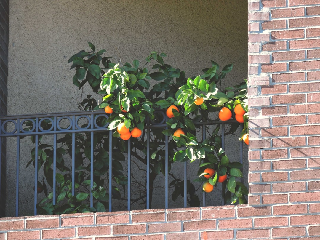 Pisos En Alquiler Sant Gervasi: Tu Hogar Ideal En Barcelona A Tu Alcance